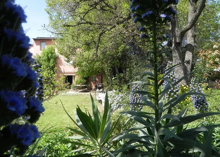 Bed & Breakfast Le Clos Des Vignes Raphael