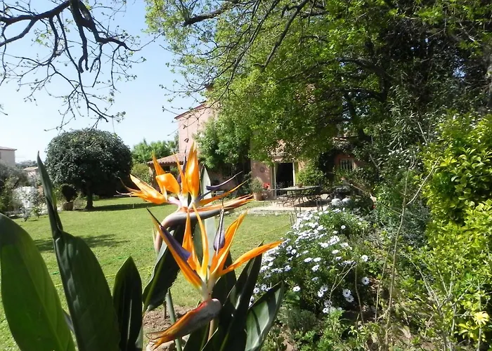 Bed & Breakfast Le Clos Des Vignes Raphael