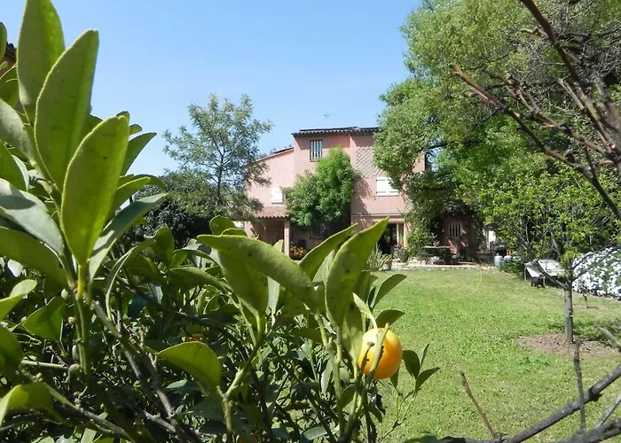 Bed & Breakfast Le Clos Des Vignes Raphael Saint-Raphael (Var)